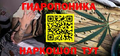 гидра Обь