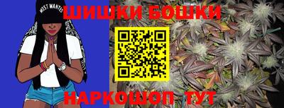 индика Нягань