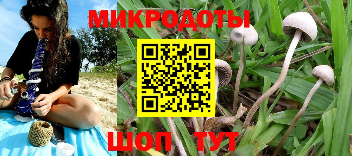Санкт-Петербург  Галлюциногенные грибы прущие грибы  Вход с VPN 